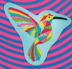 step-by-step-kolibri-kaja