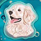 step-by-step-dog-basty