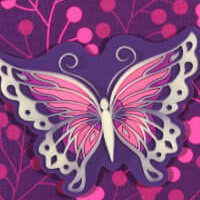 Step-by-Step-Butterfly-Night-Ansicht